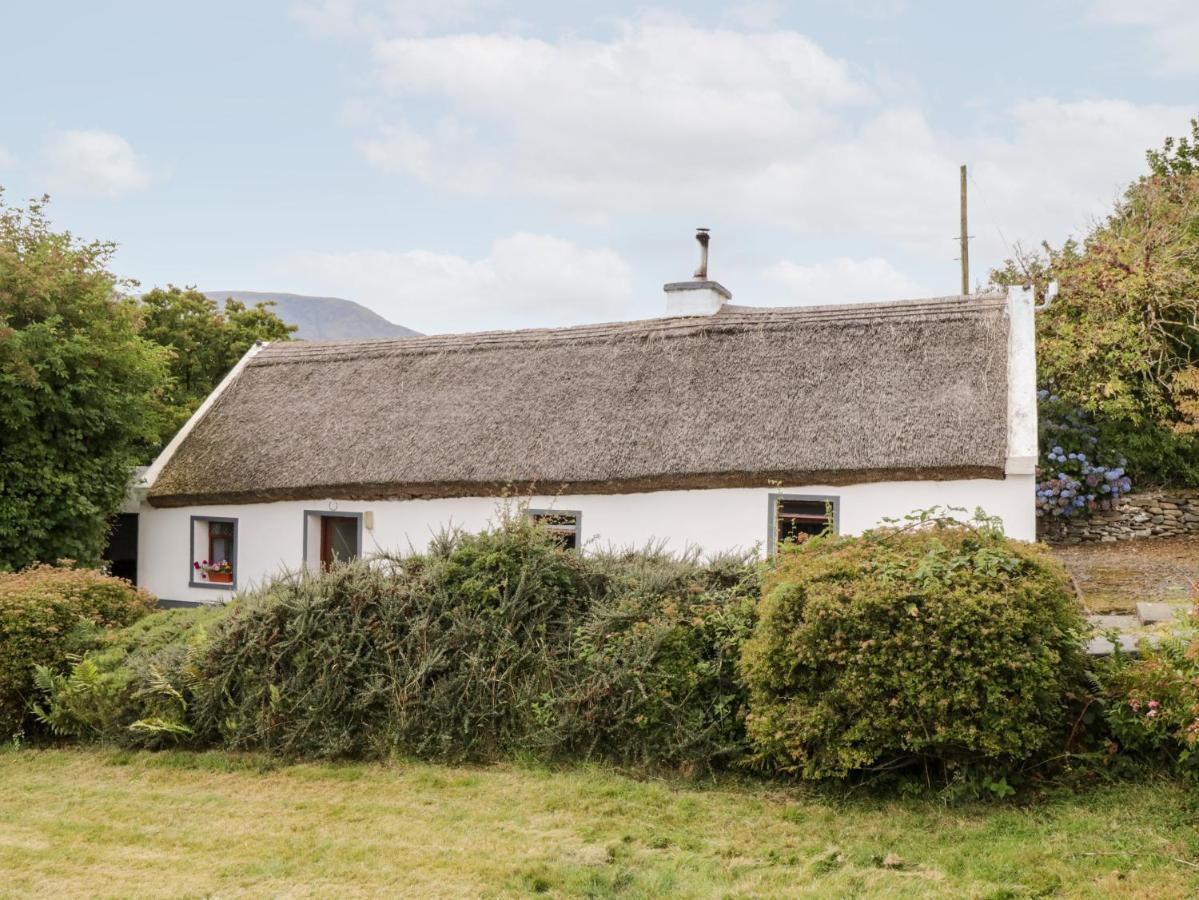 The Thatched Cottage Liscarney ภายนอก รูปภาพ